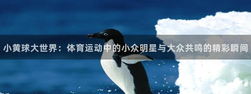斗体育足球直播：小黄球大世界：体育运动中的小众明星与大众共鸣的精彩瞬间