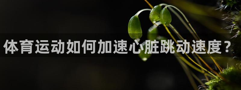 斗体育西甲授权：体育运动如何加速心脏跳动速度？