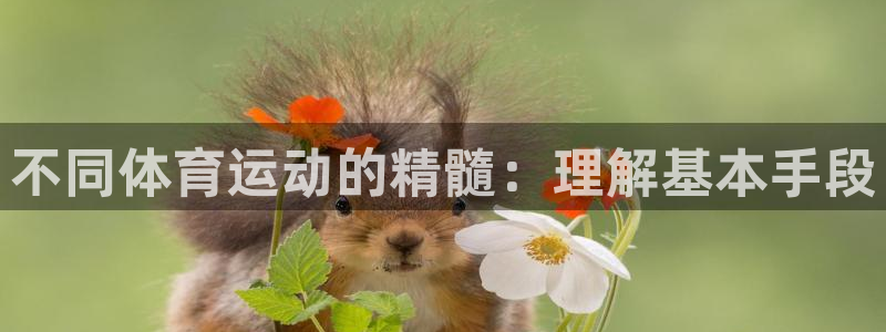 斗体育直播app下载：不同体育运动的精髓：理解基本手段